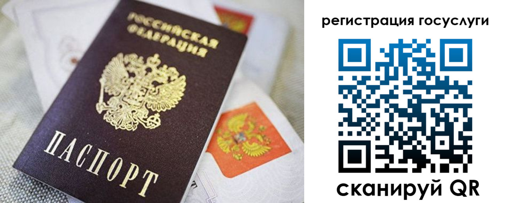 прописка паспорт в Курской области